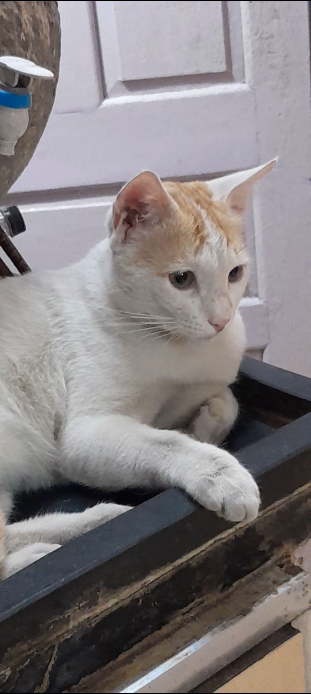 Meyo - Gajanan Nagar, Nagpur