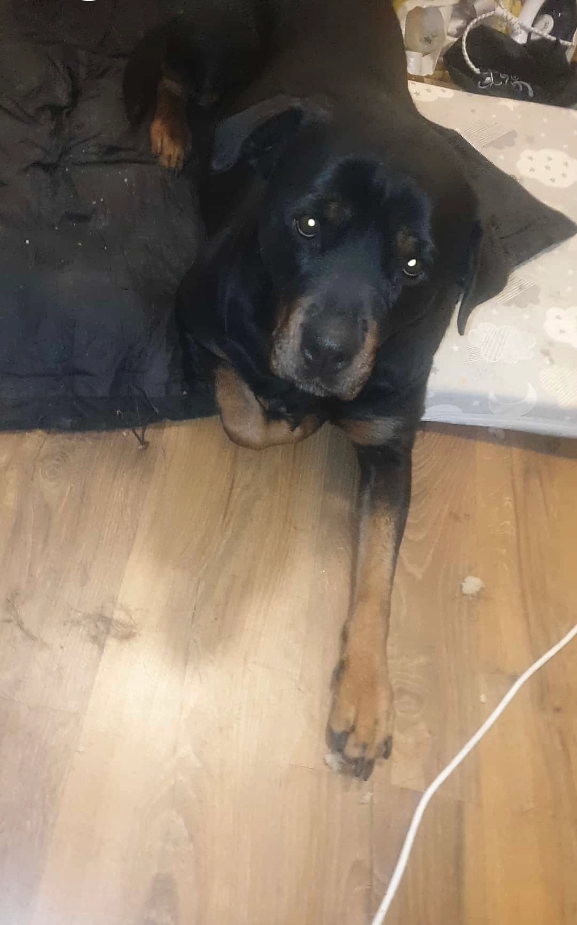 Gucci - 2e Middellandstraat, Rotterdam