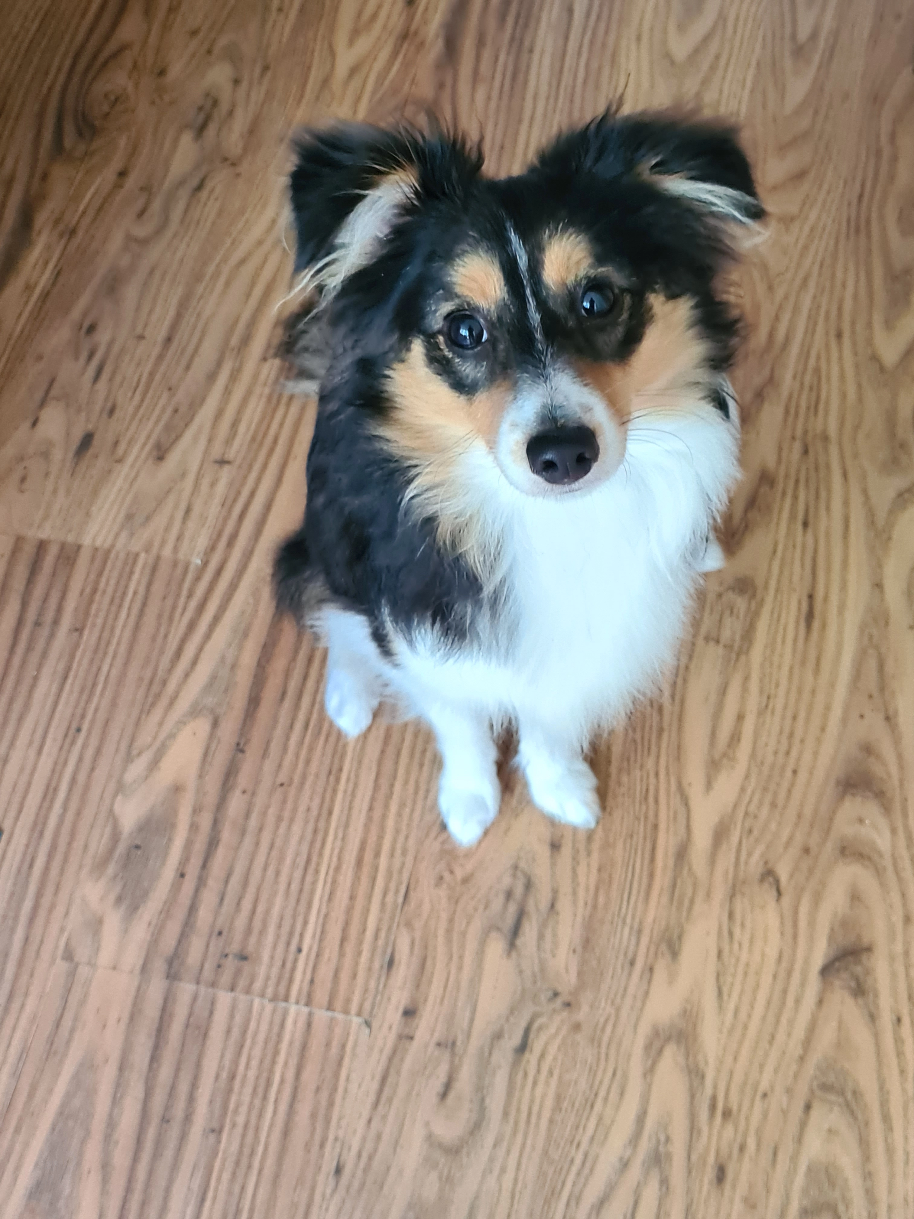 Tessa - Heikantlaan, Tilburg