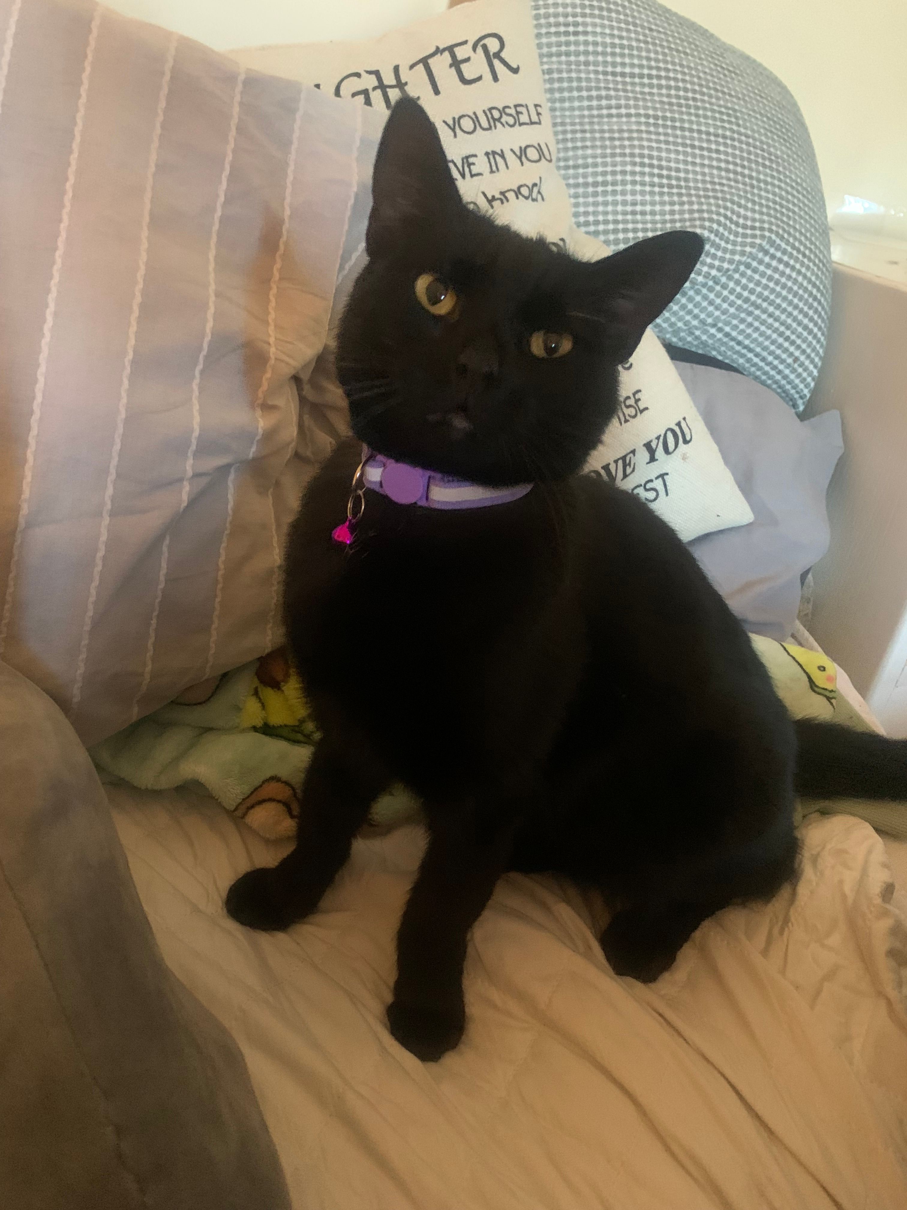 Angie - Hackington Road, Canterbury