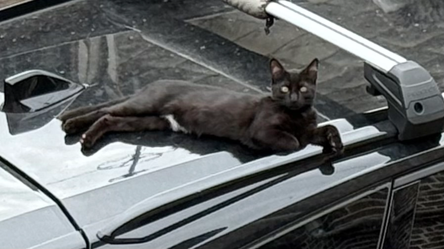 Almi - Rue Pierre de Ronsard, Lisieux