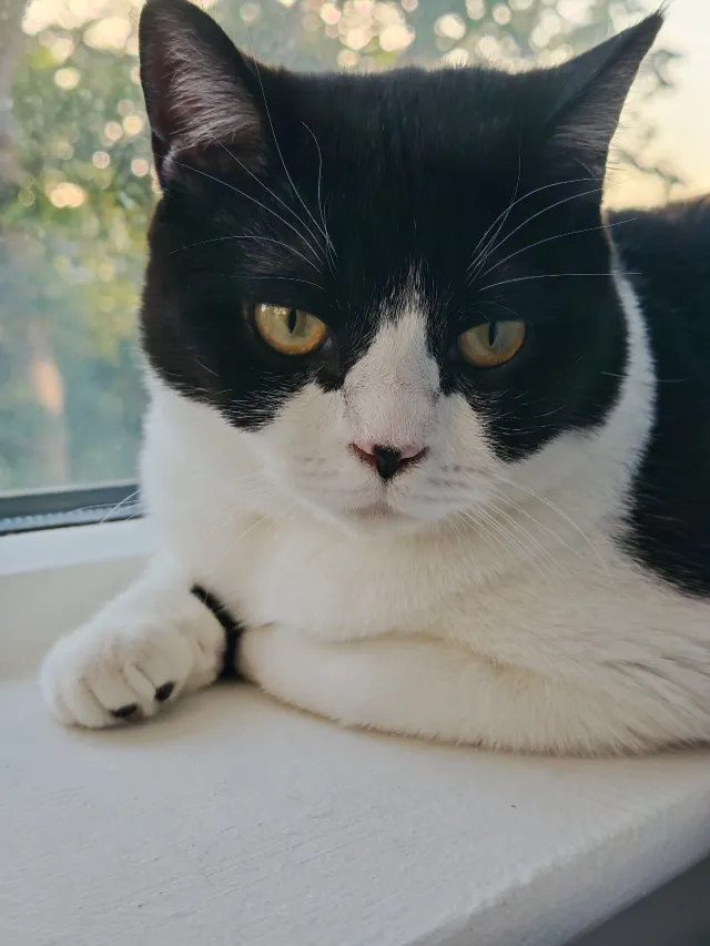 Coco - College Place, London