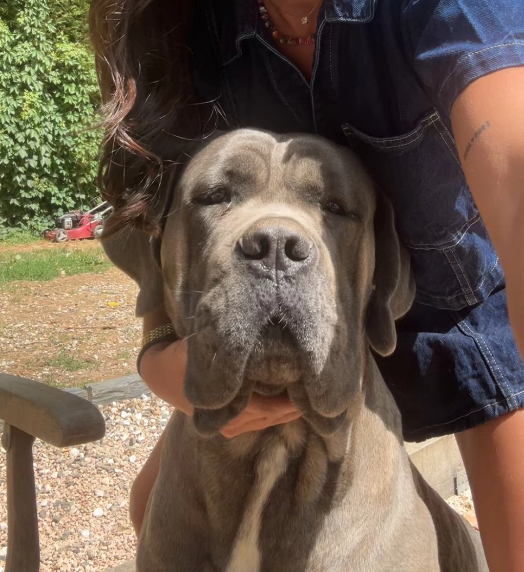 Tales - 349 Route de Chuzelles, Villette-de-Vienne