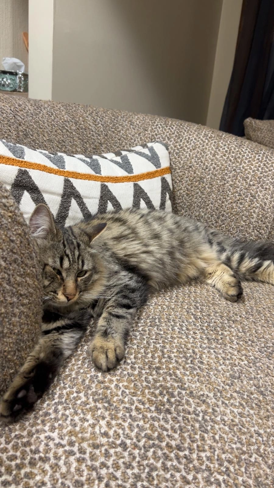 Grisou - Route Des Creusettes, Poisy