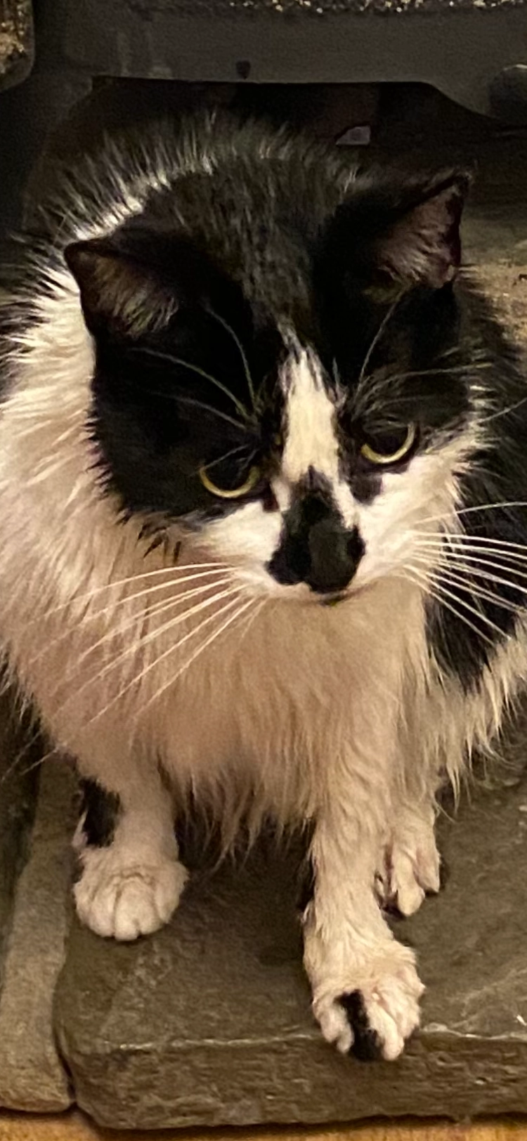 Smudge - Church Road, Nuneaton