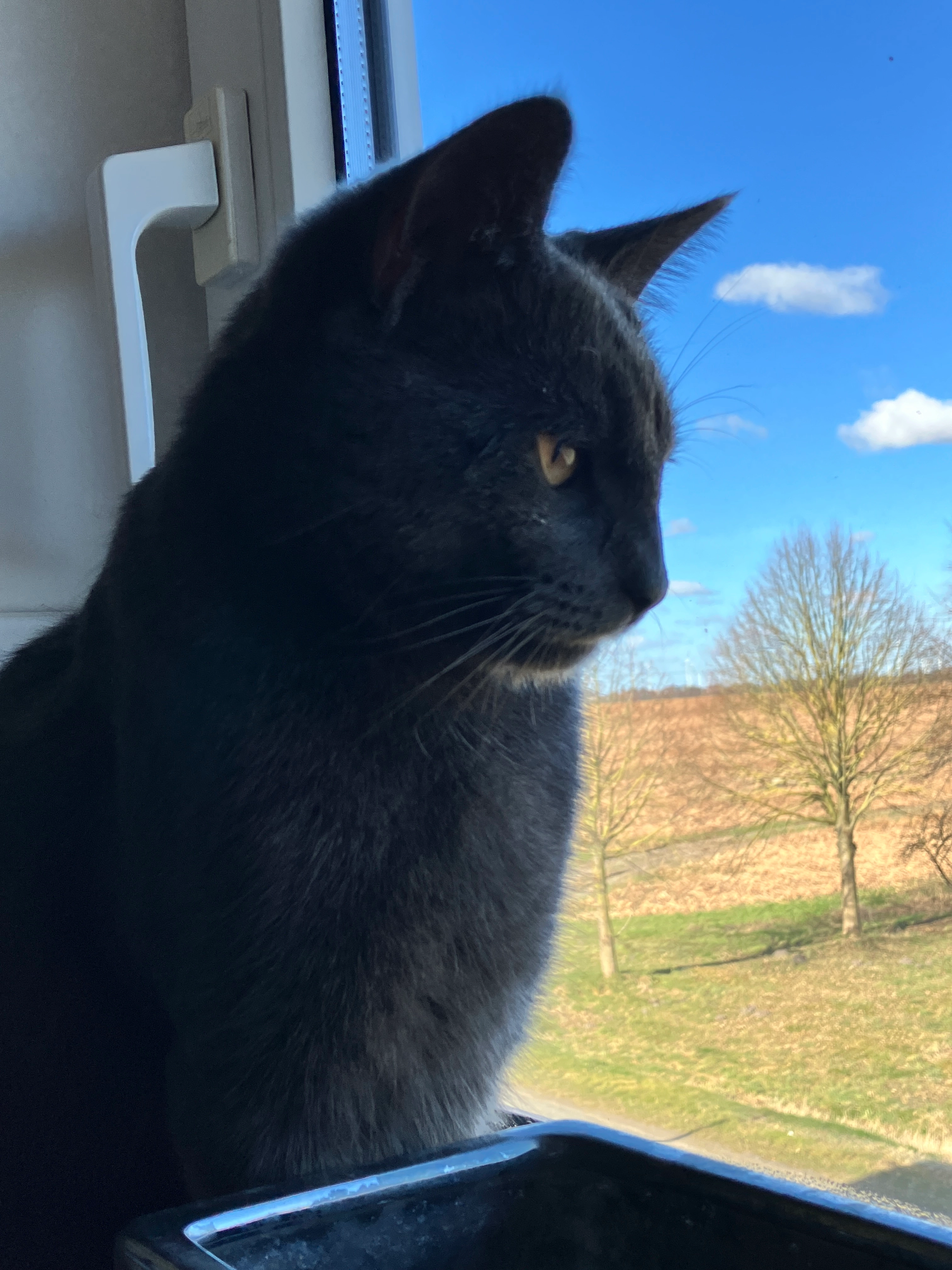 Mio - Grebbiner Straße, Obere Warnow