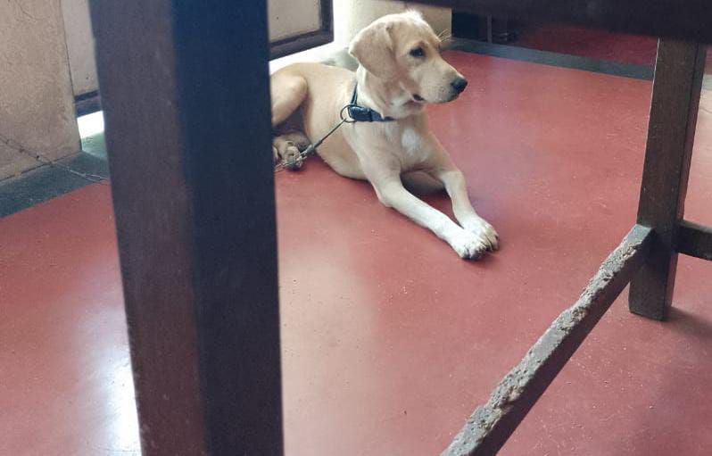 Bingo - Pongmoodu, Trivandrum, Thiruvananthapuram