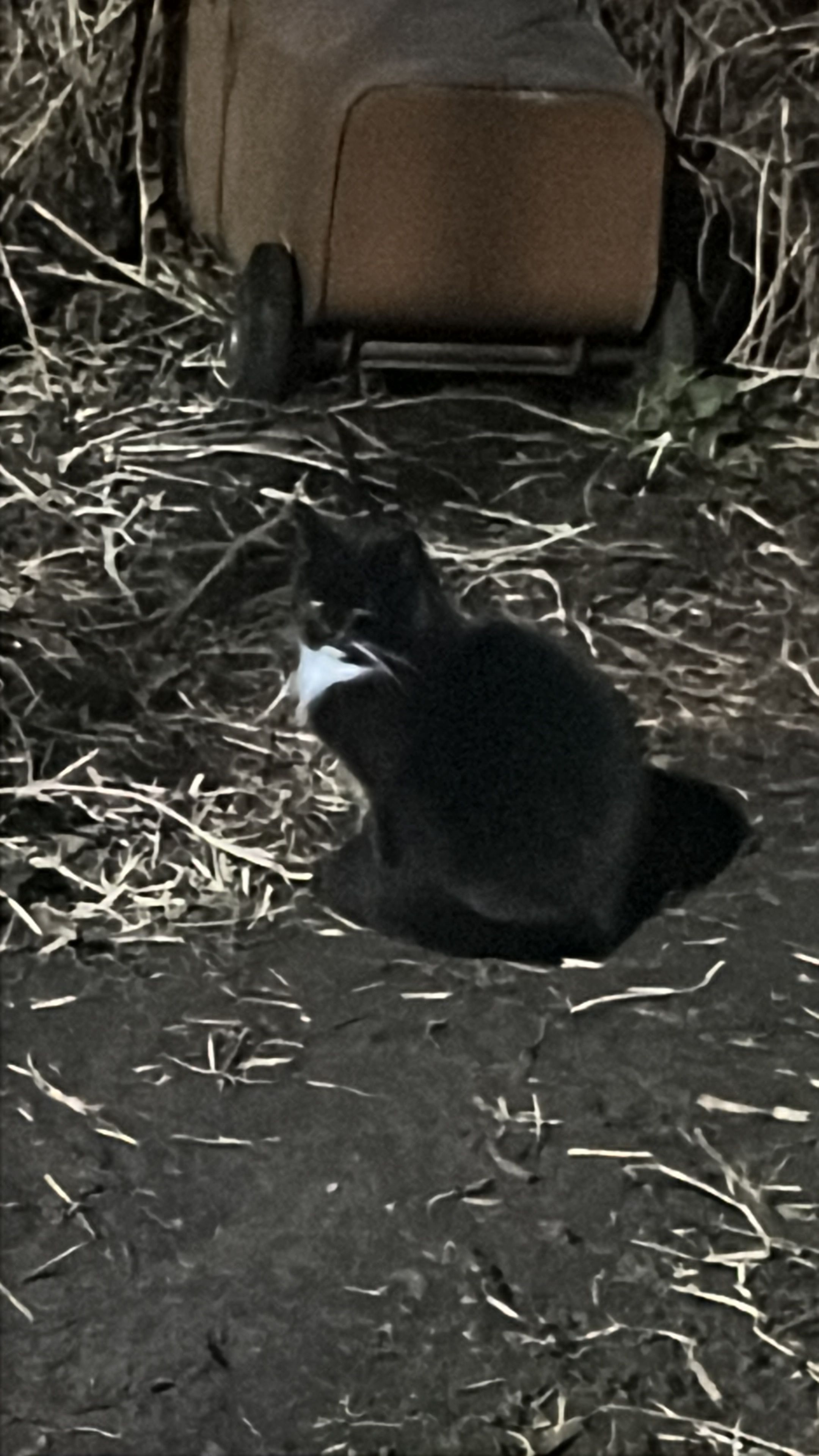 Emelie - Am Steinschlag, Fresenburg