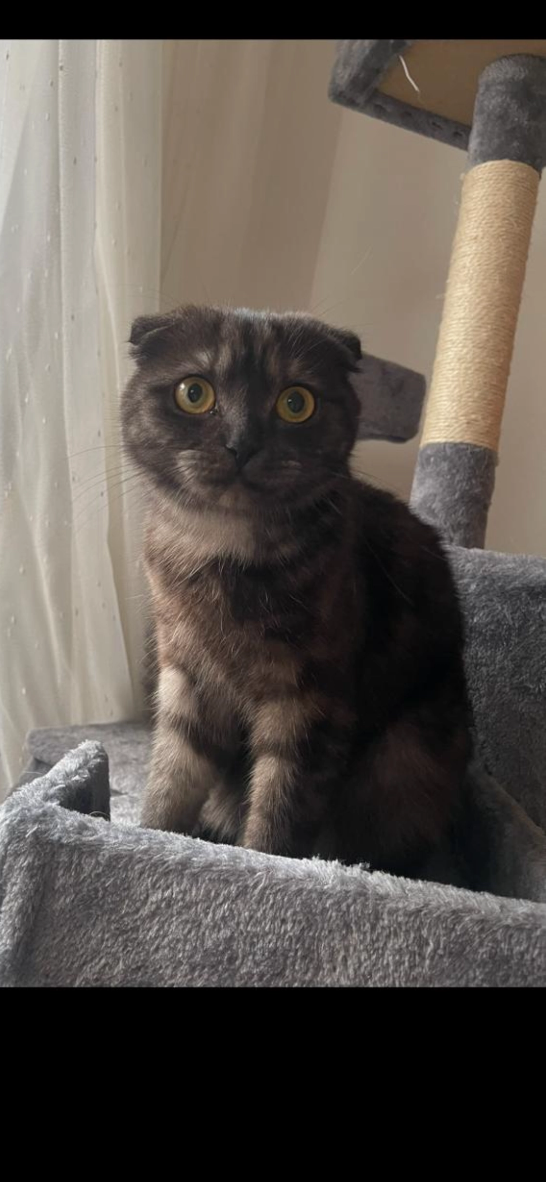 Mila - Wangerlandstraße, Wiefelstede