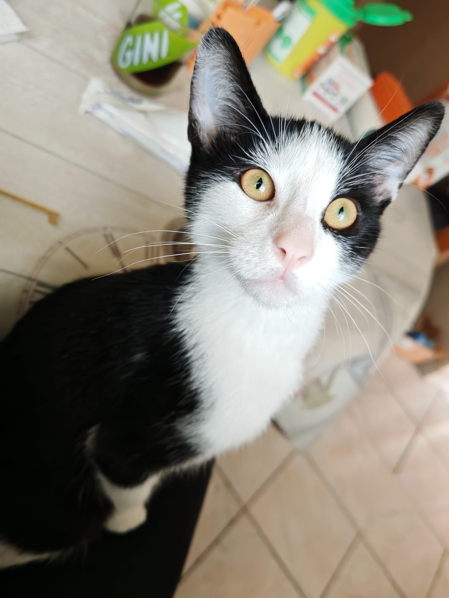 Voyou - Rue De Créot, Le Creusot