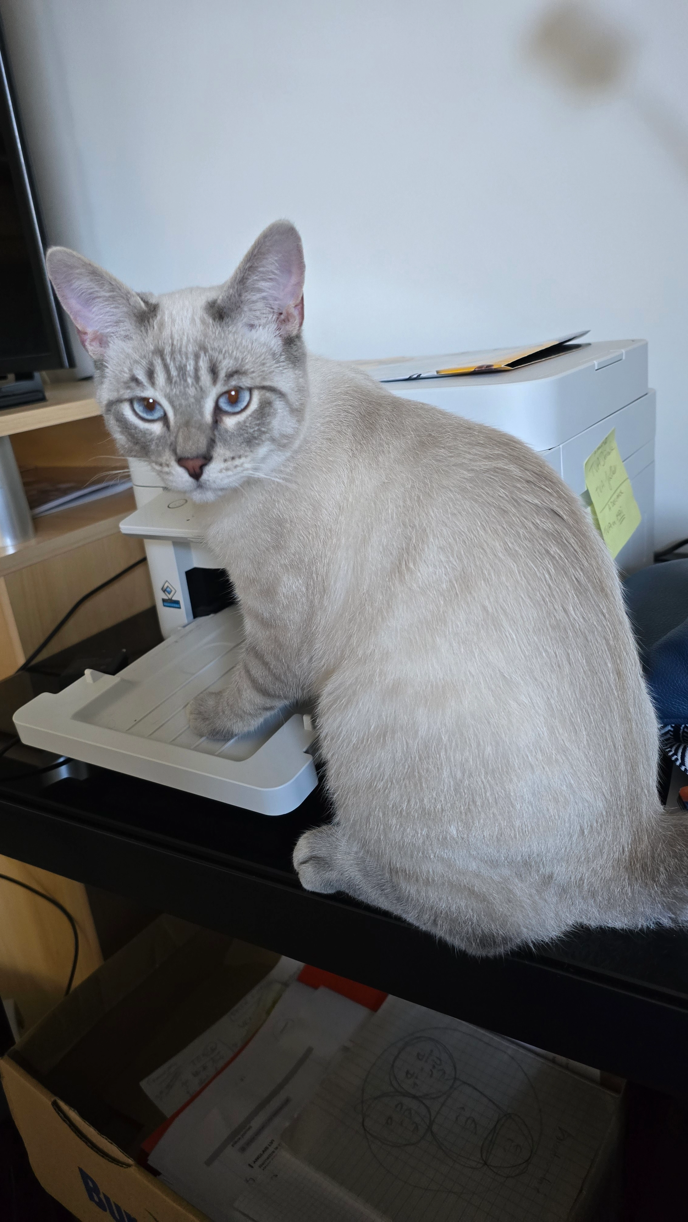 Andy - Chemin Des Mûres, Grimaud