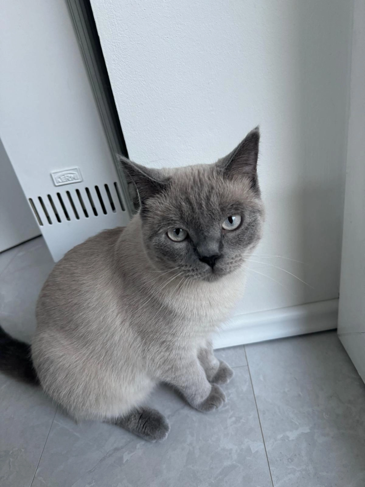 Ash - Lichweg, Türnich-Kerpen