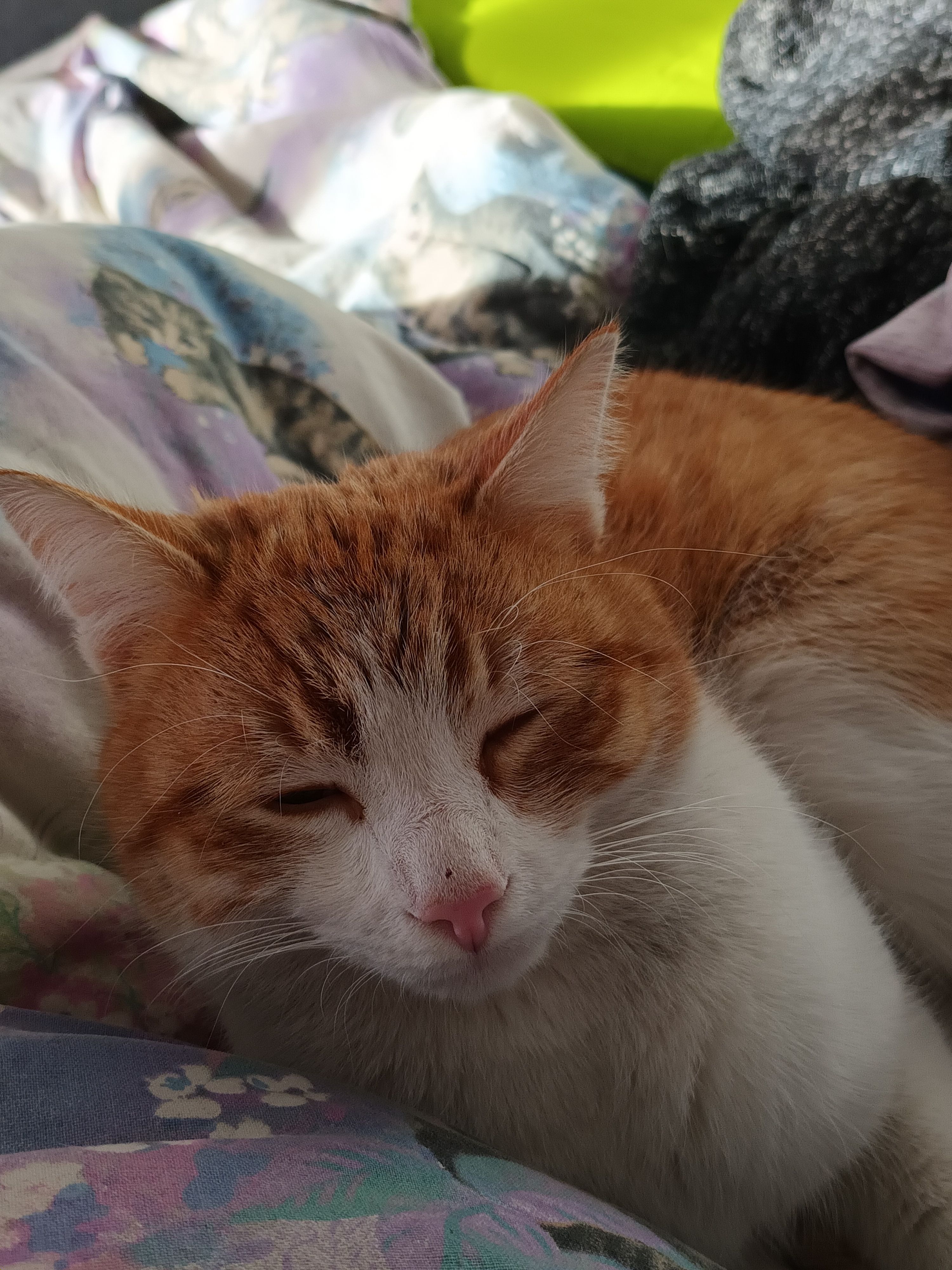 Odin - Uferstraße, Gloggnitz