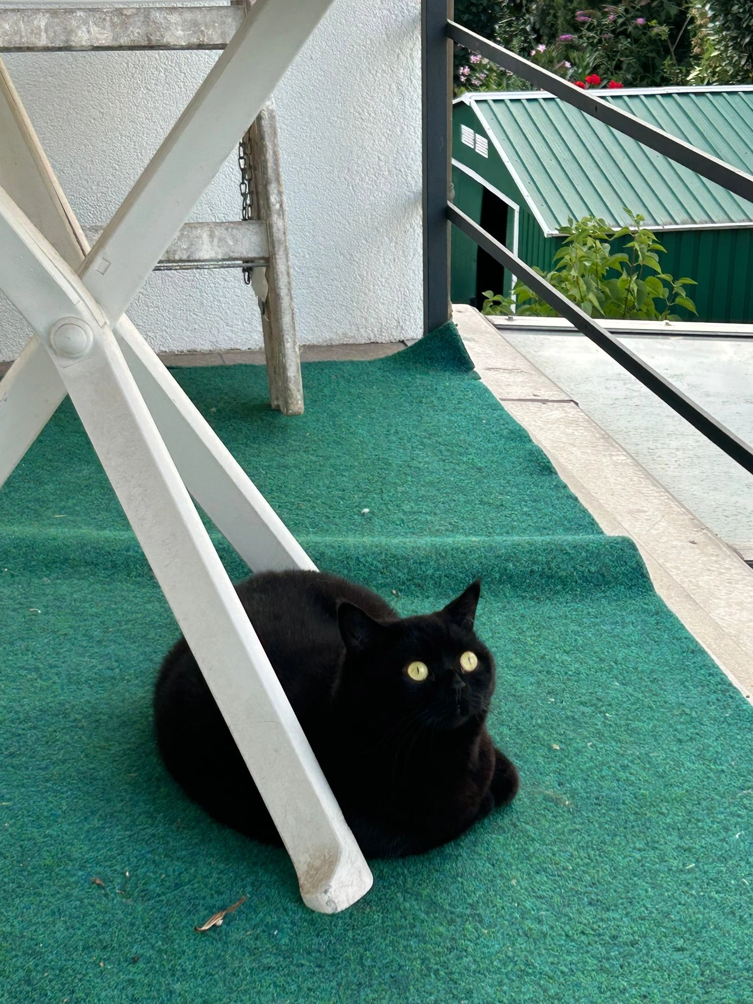 Mucha - Schubertstraße, Eppelheim