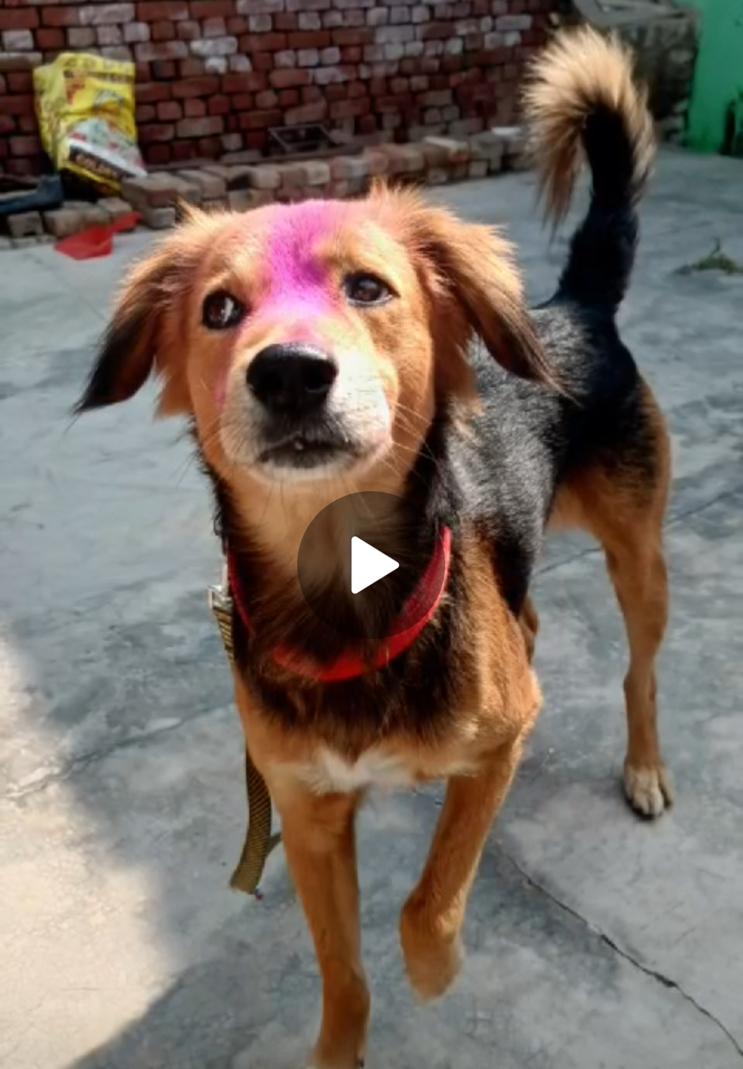 He was last seen getting in car - 390012, Vadodara