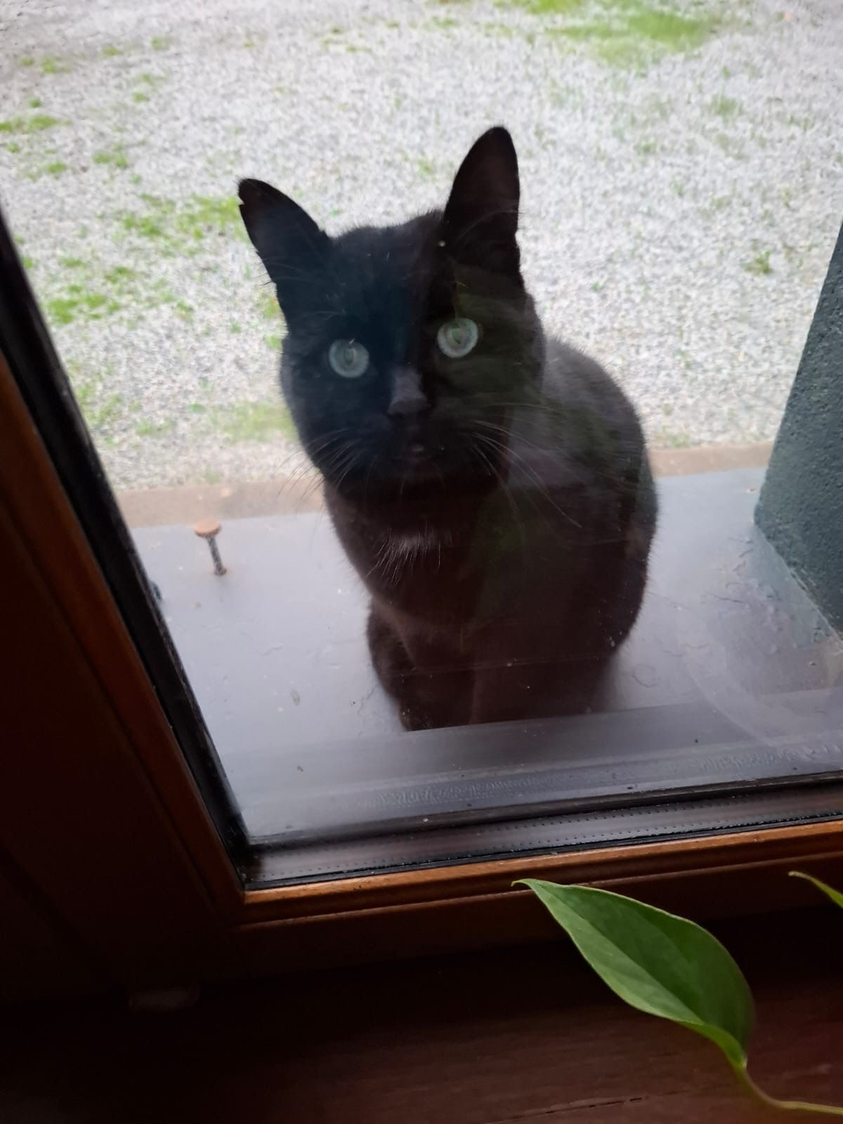 Tom - Route Départementale De Bain-De-Bretagne À Pouancé, Rougé