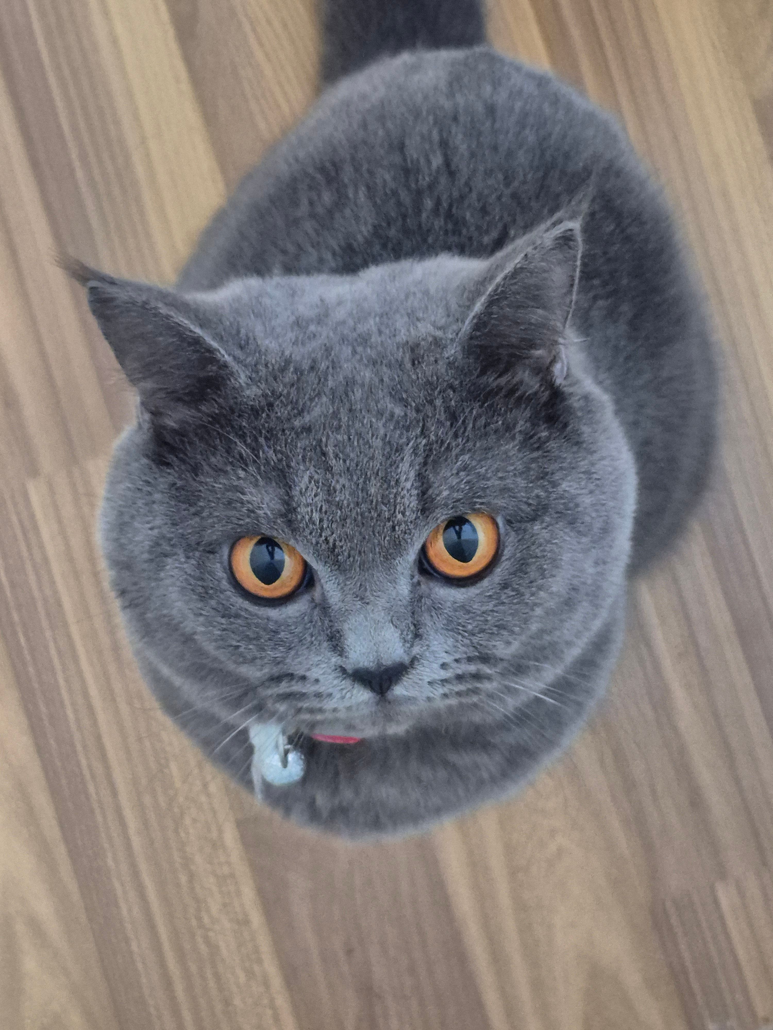 Awang - Jalan Ceri 6/6, Ijok