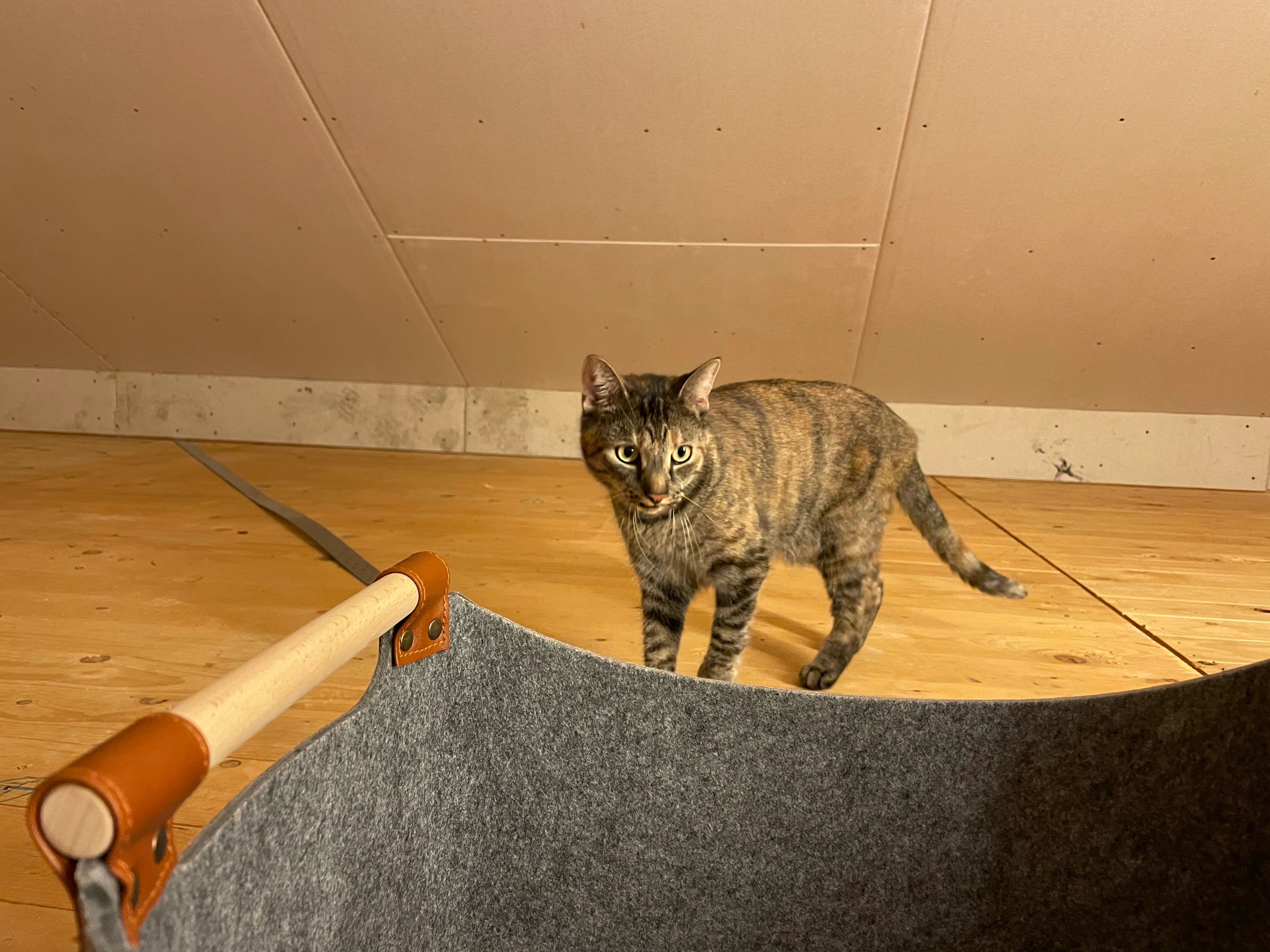 Hina - Mondstrasse 6A, Visp