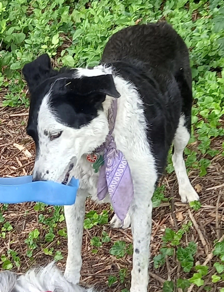 Kana - Chemin Des Prés, Barberaz