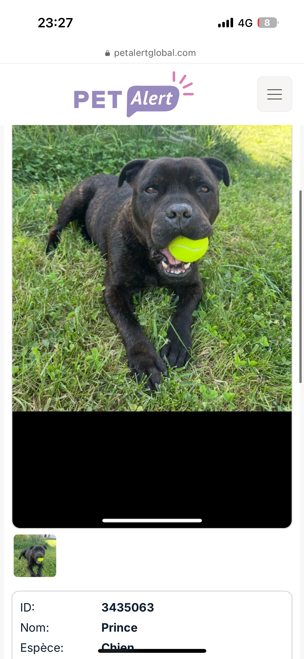 Prince - 495 Route de Saint-Canadet, Aix-en-Provence