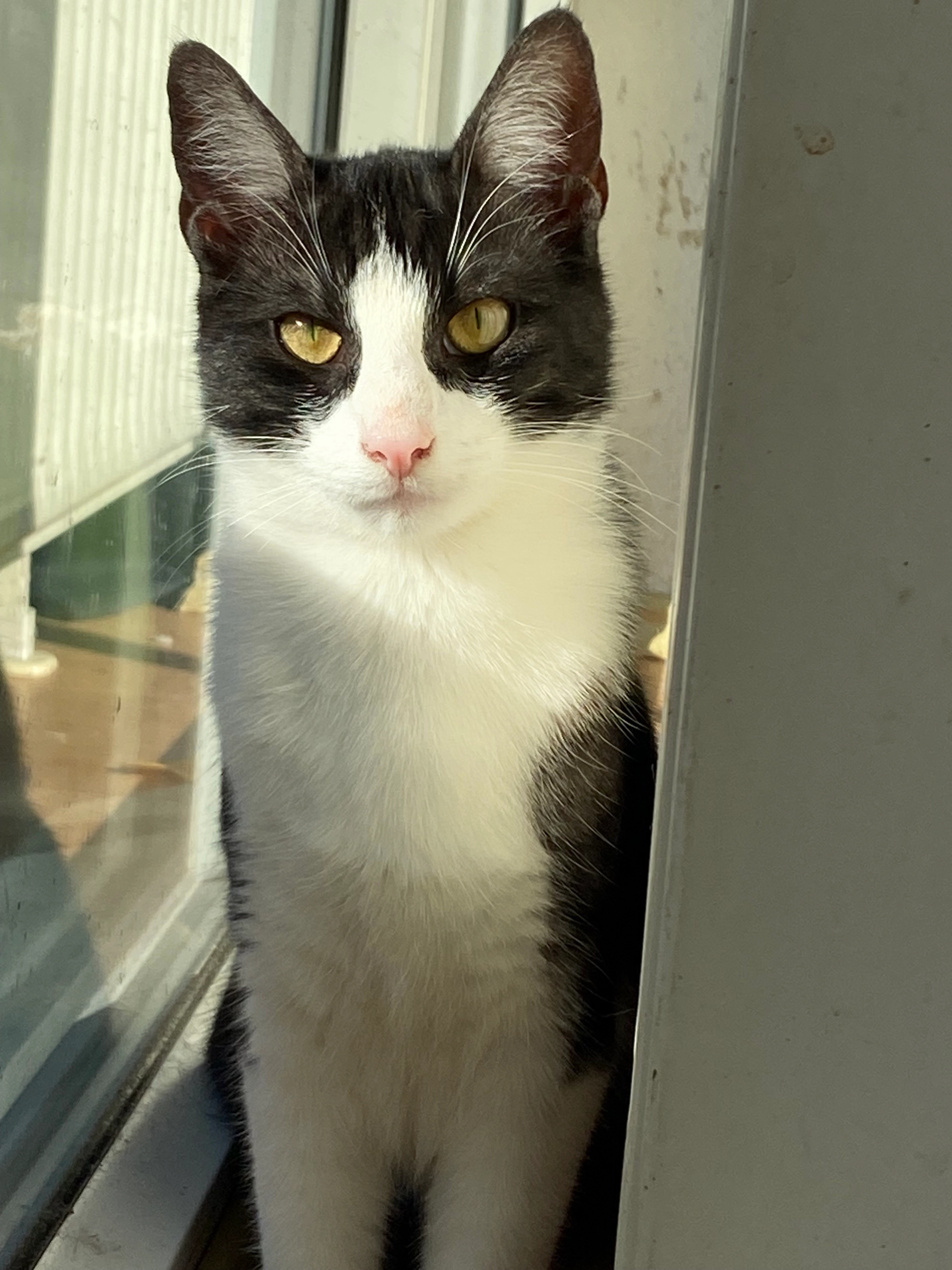 Pablo - Ausgasse , Mannheim