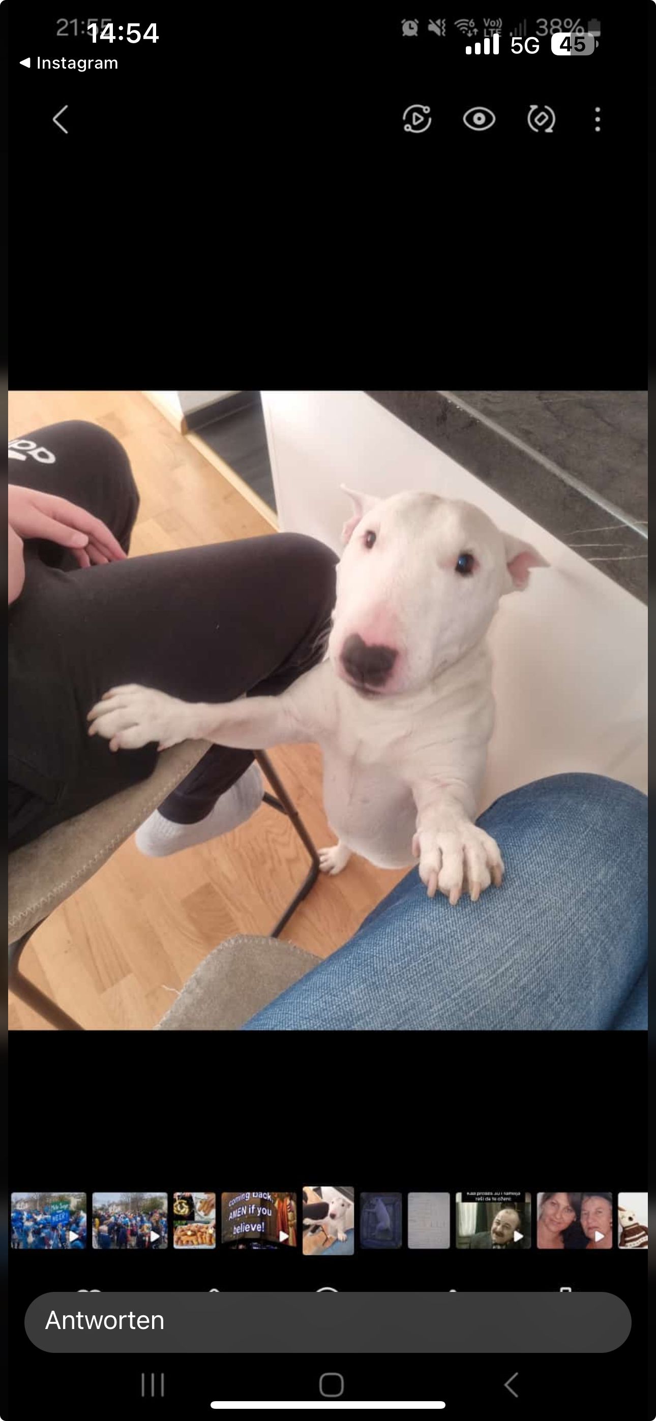 Dzeki - Dammweg, Gelterkinden