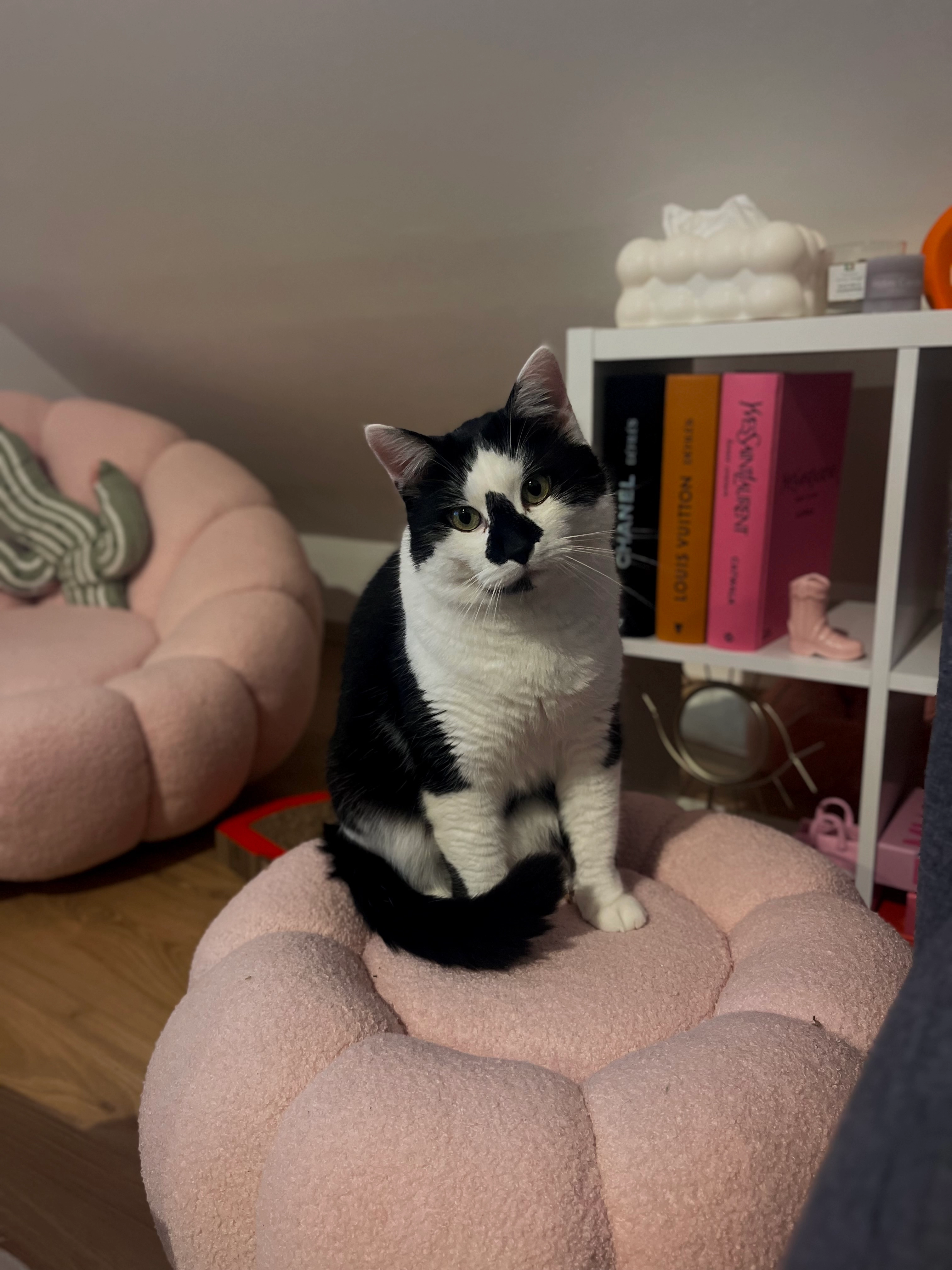 Senna - Avenue des Boutons d'Or, Spa