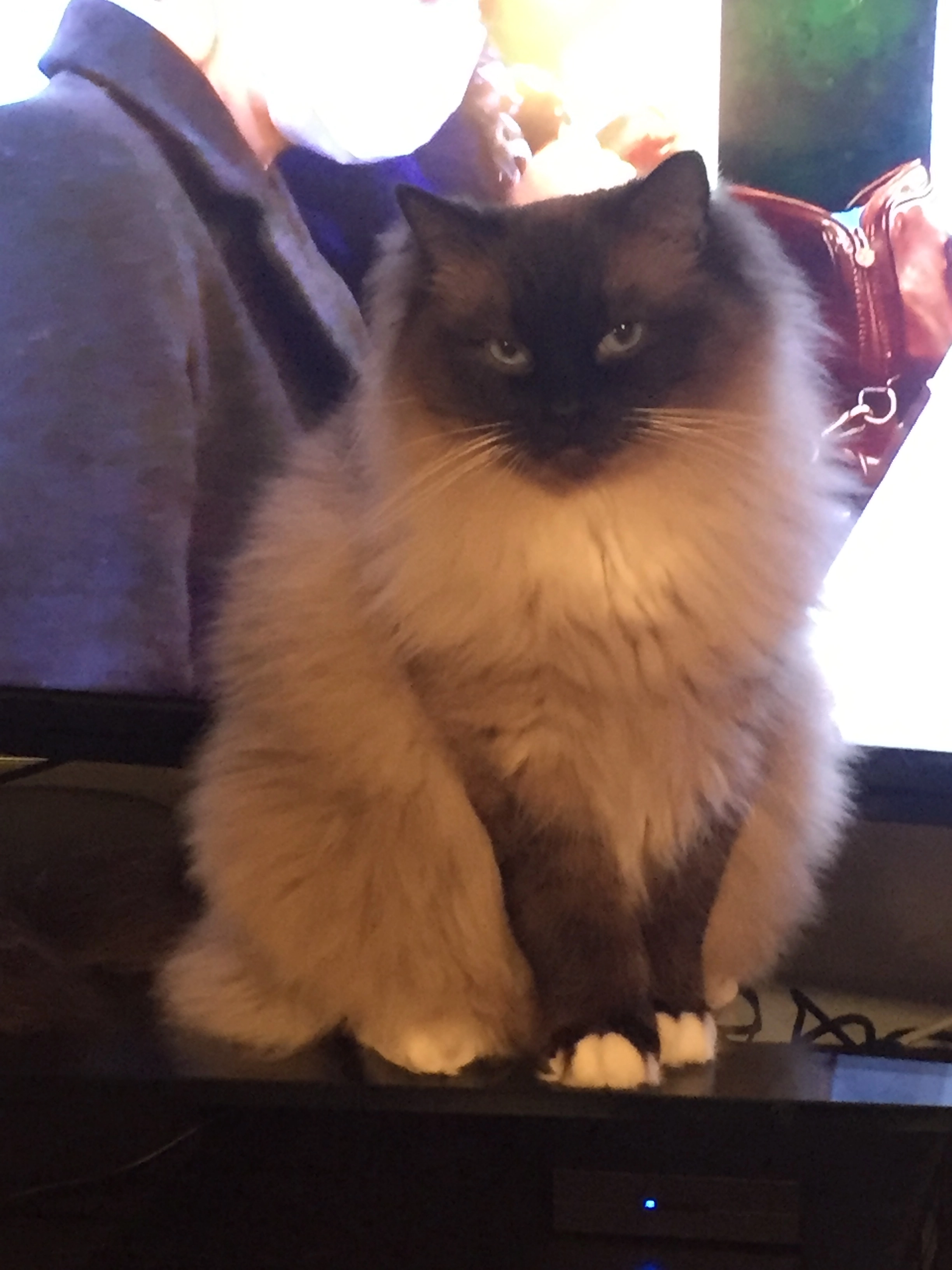 Bouke - Bachdreef, Harderwijk