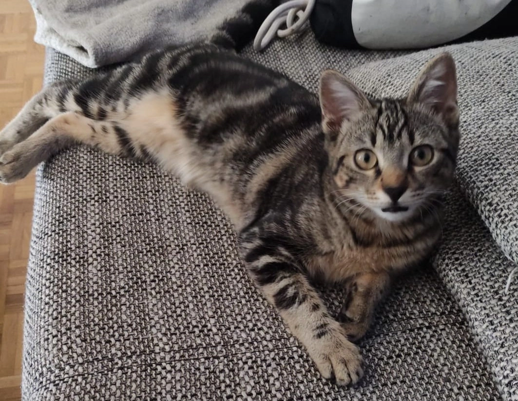 Nala - Route d'Evian 12, Aigle