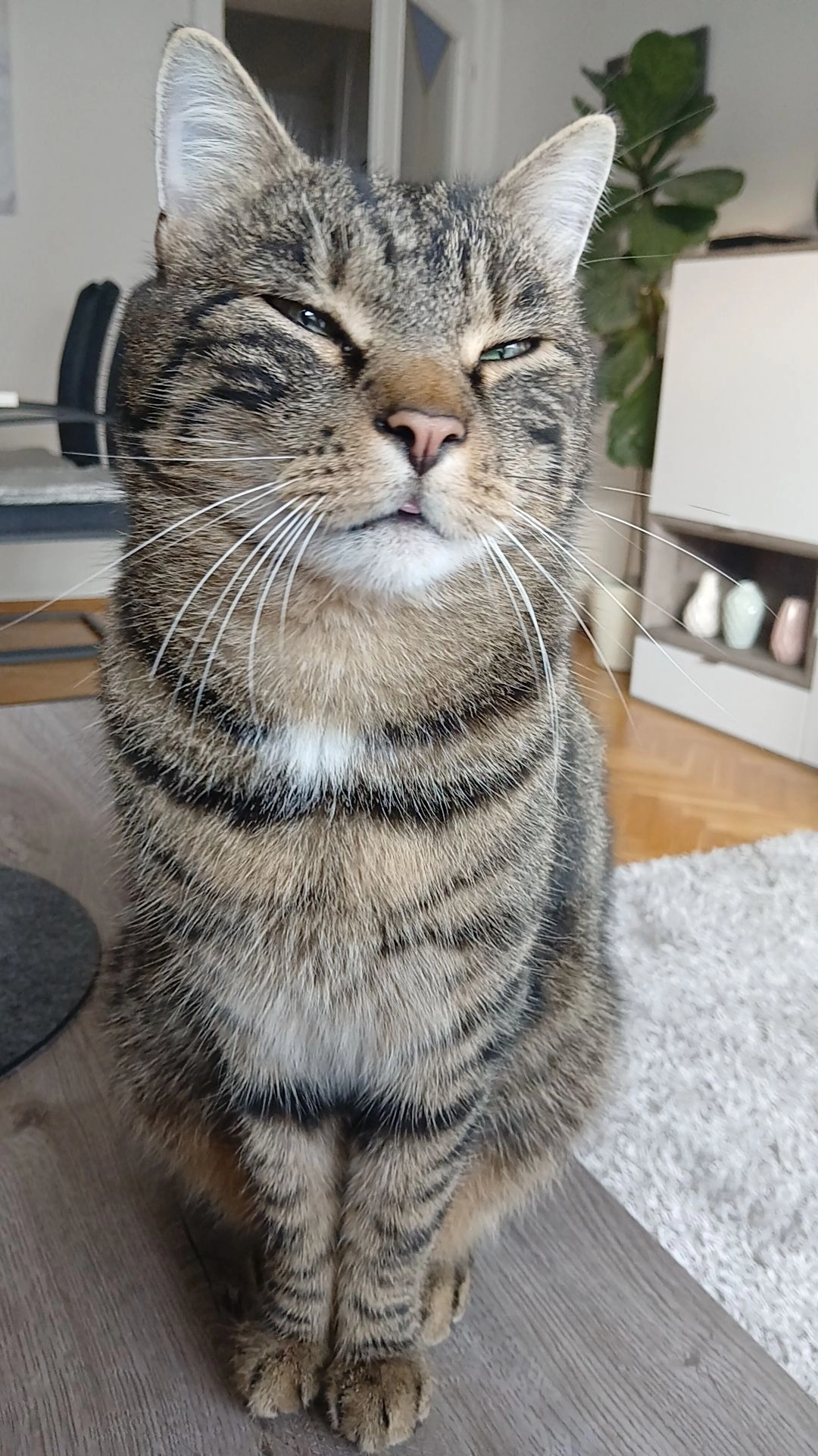 Scotty - Flurgasse, Gleisdorf