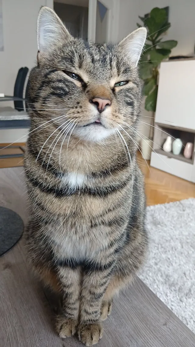 Scotty - Flurgasse, Gleisdorf