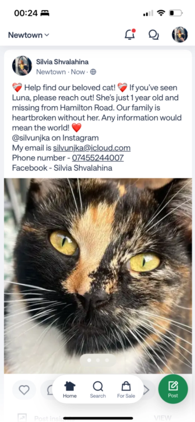 Luna - Hamilton Road, Great Yarmouth