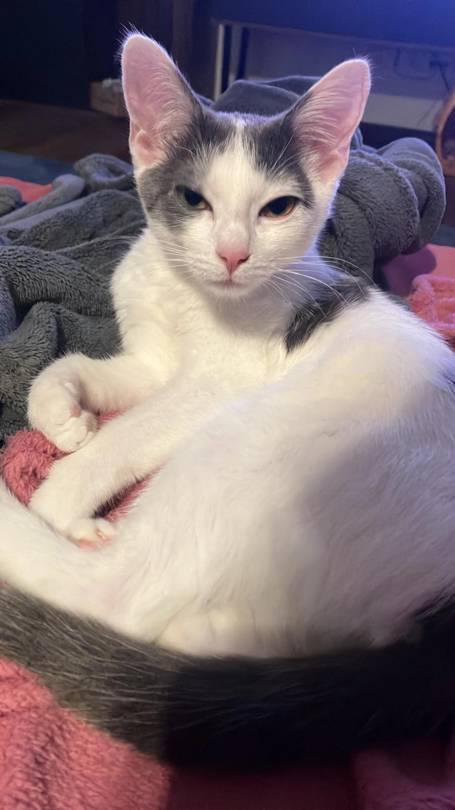 Bonnie - Trienter Straße, Kempten