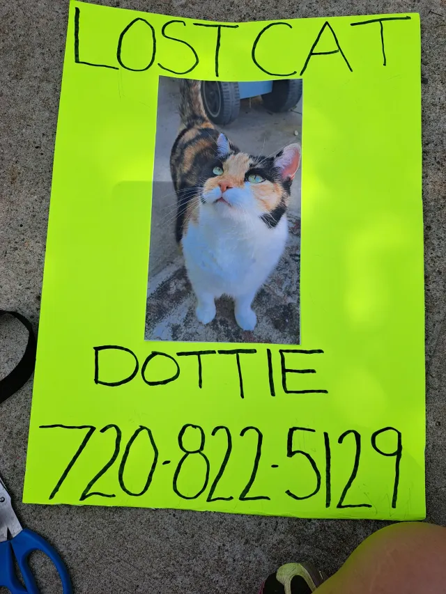 Dottie - 3710 Independence St, Wheat Ridge