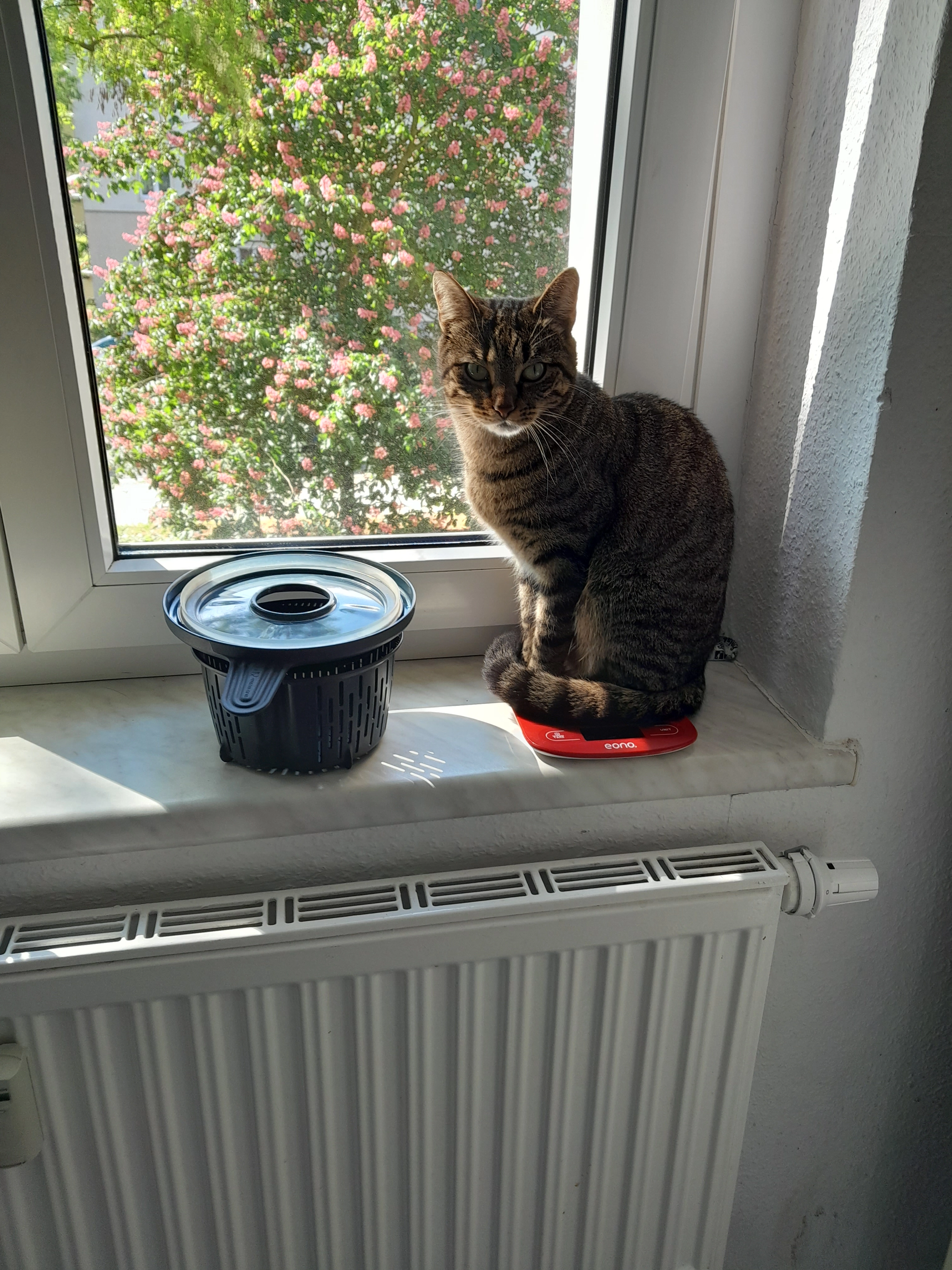 Mia - Reichenauer Weg 10, Dresden