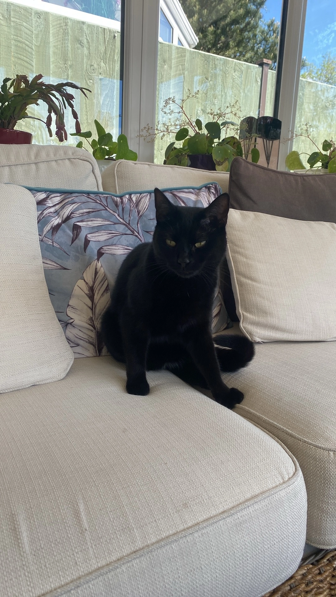 Lisha - Carr Holme Gardens, Preston