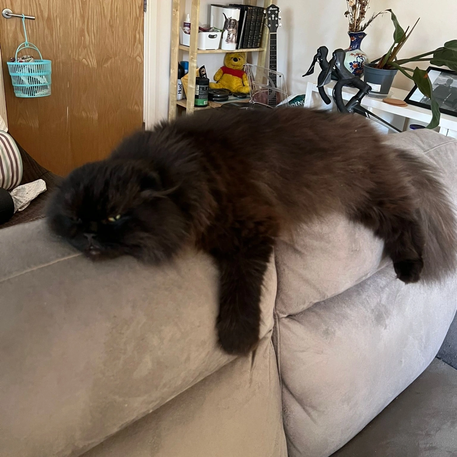 Haku - The Walk, Block 4, Moyglare Hall, Maynooth