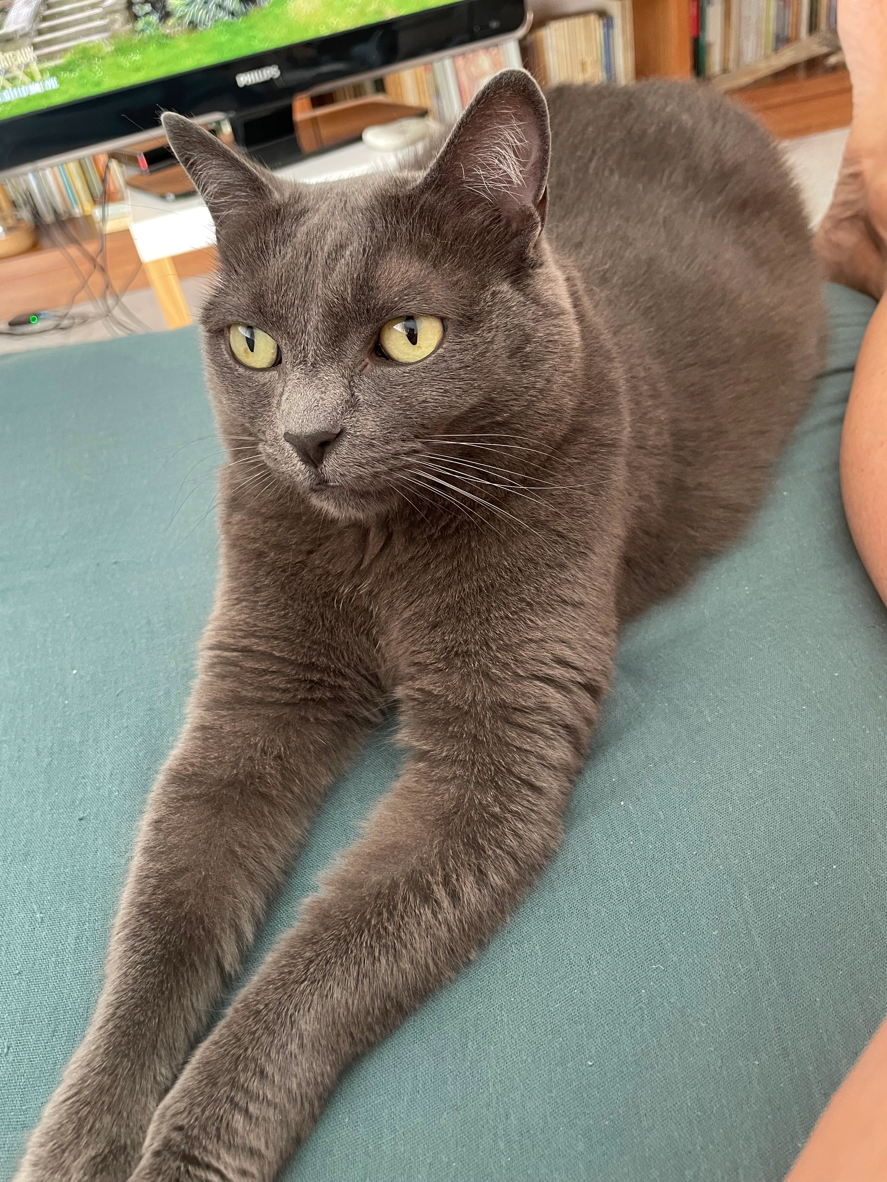 Naori mais je lui dit Nao - Impasse des Gymnastes, Marseille