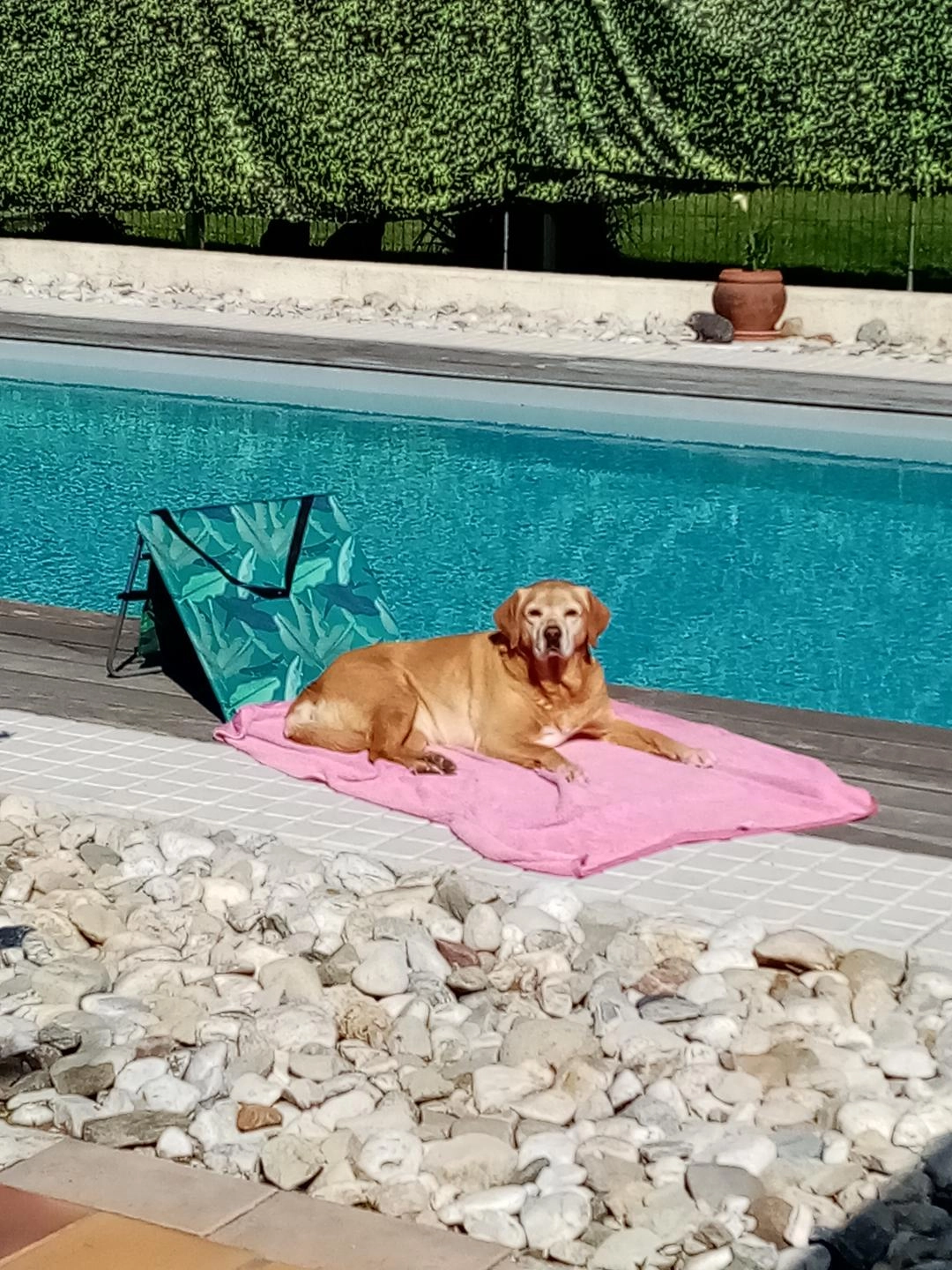 enjoy - Rue de l'Estornel, Maraussan
