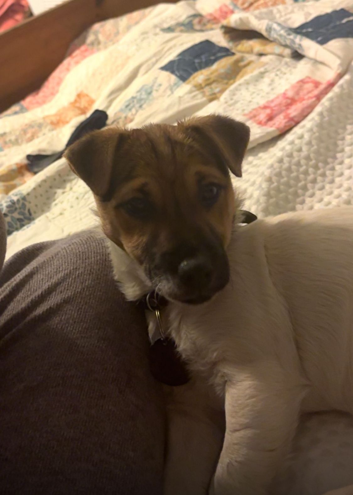 Dinky  - Kipping's Cross, Tonbridge