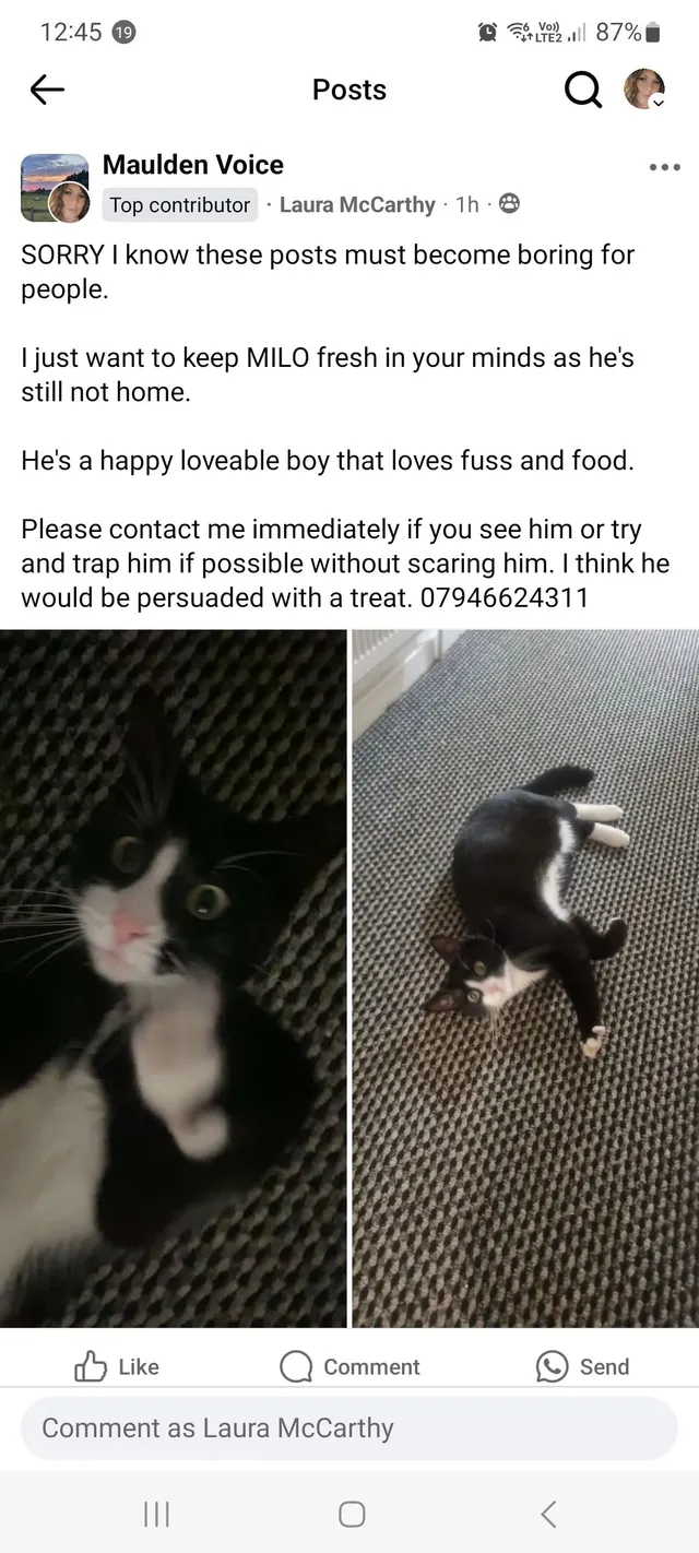 Milo - MK45 2, Bedford