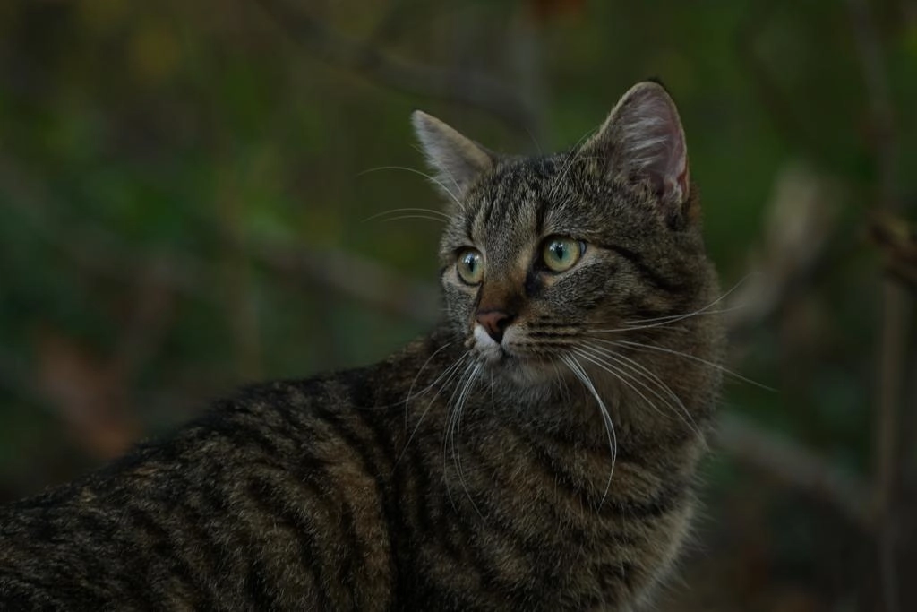 Luna - Finkenstraße, Filderstadt