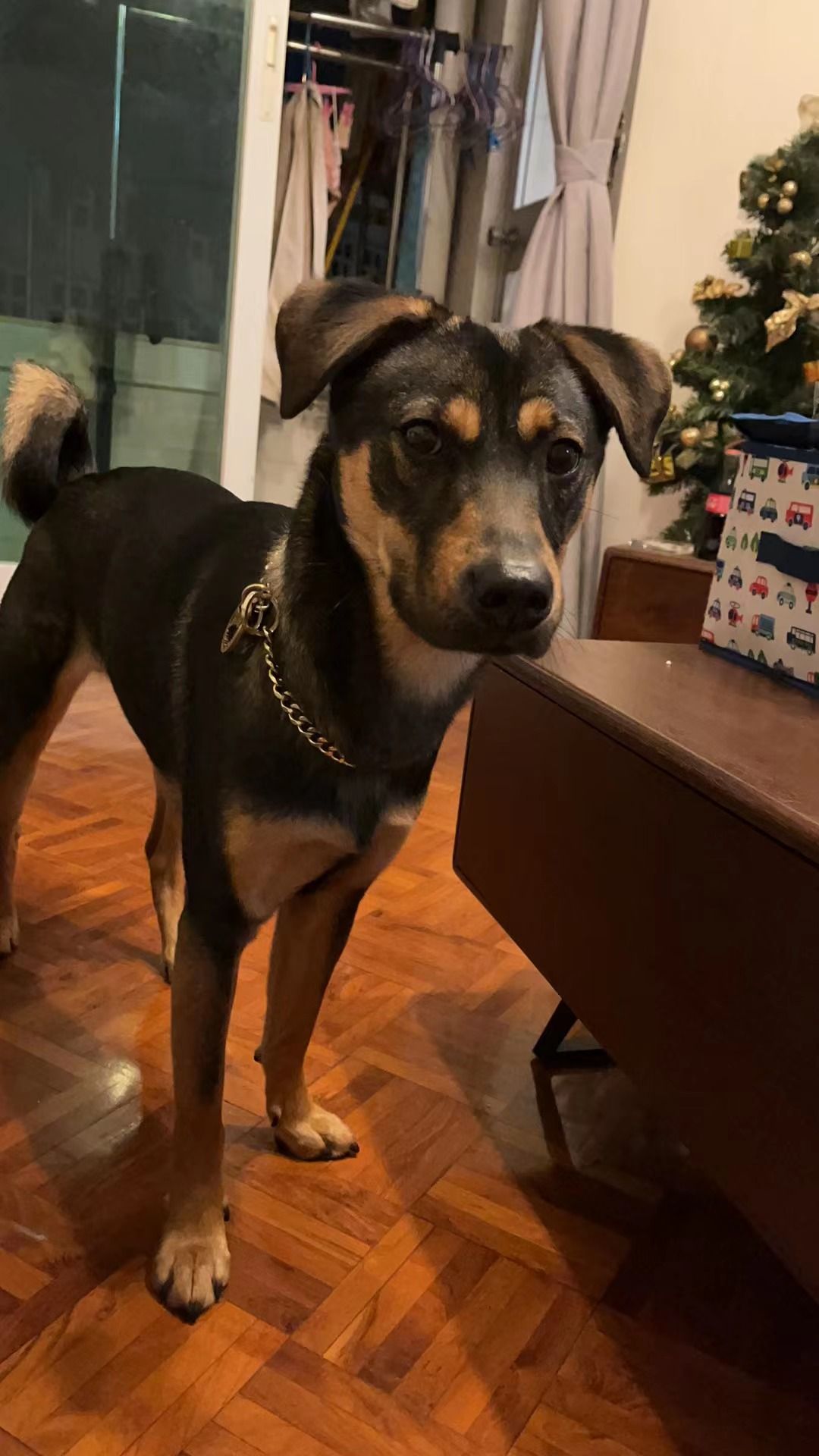 Sheldon - 84000, Muar