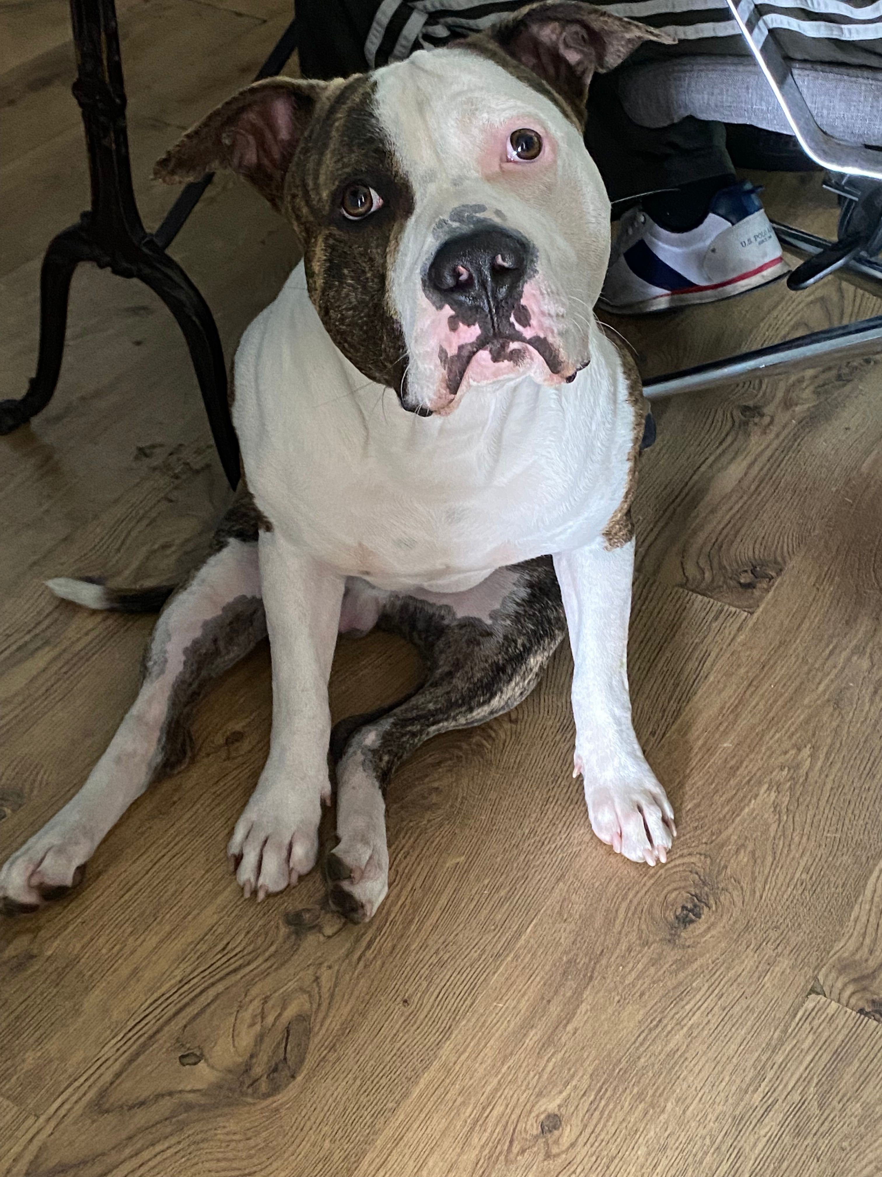 Boss - Rue Du Quatre Septembre, Aulnay-sous-Bois