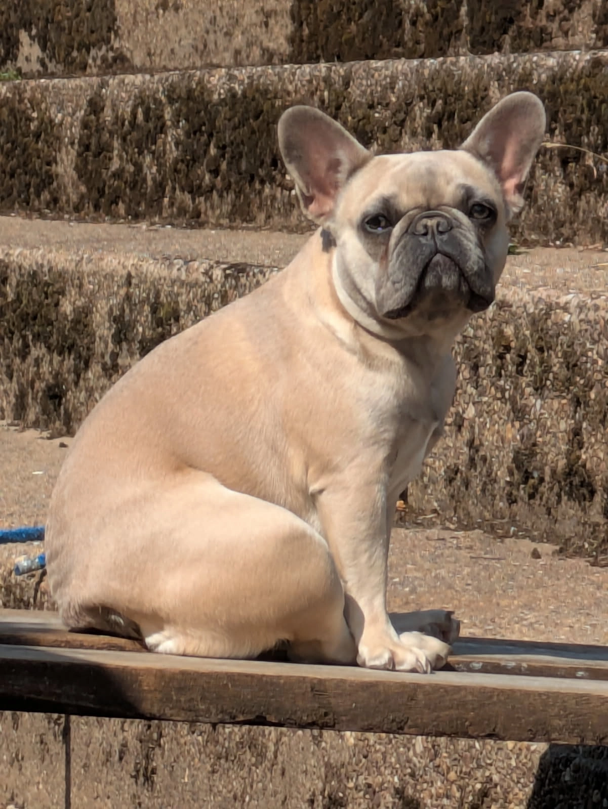 Sugar - Quayside Close, Nottingham