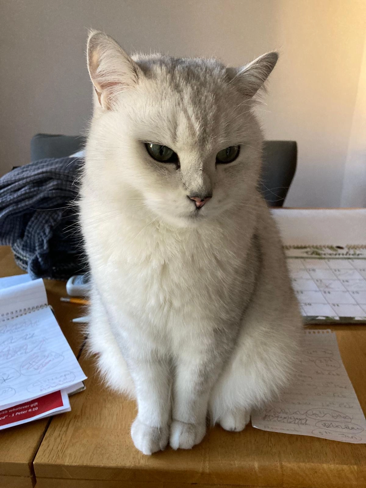 Caspar  - Bourne Arch, Thatcham