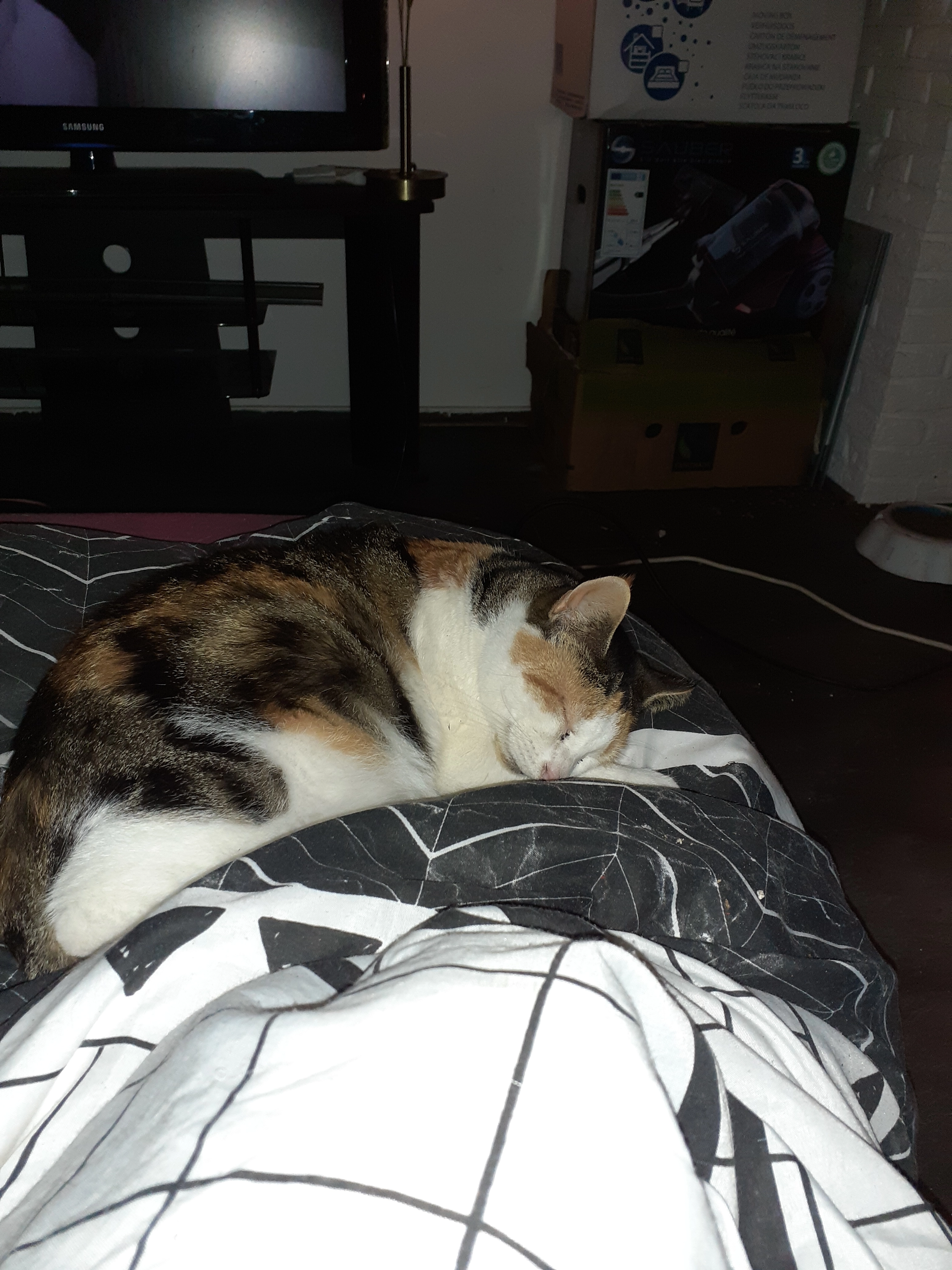 Inimini  - Noorderplein, Winschoten