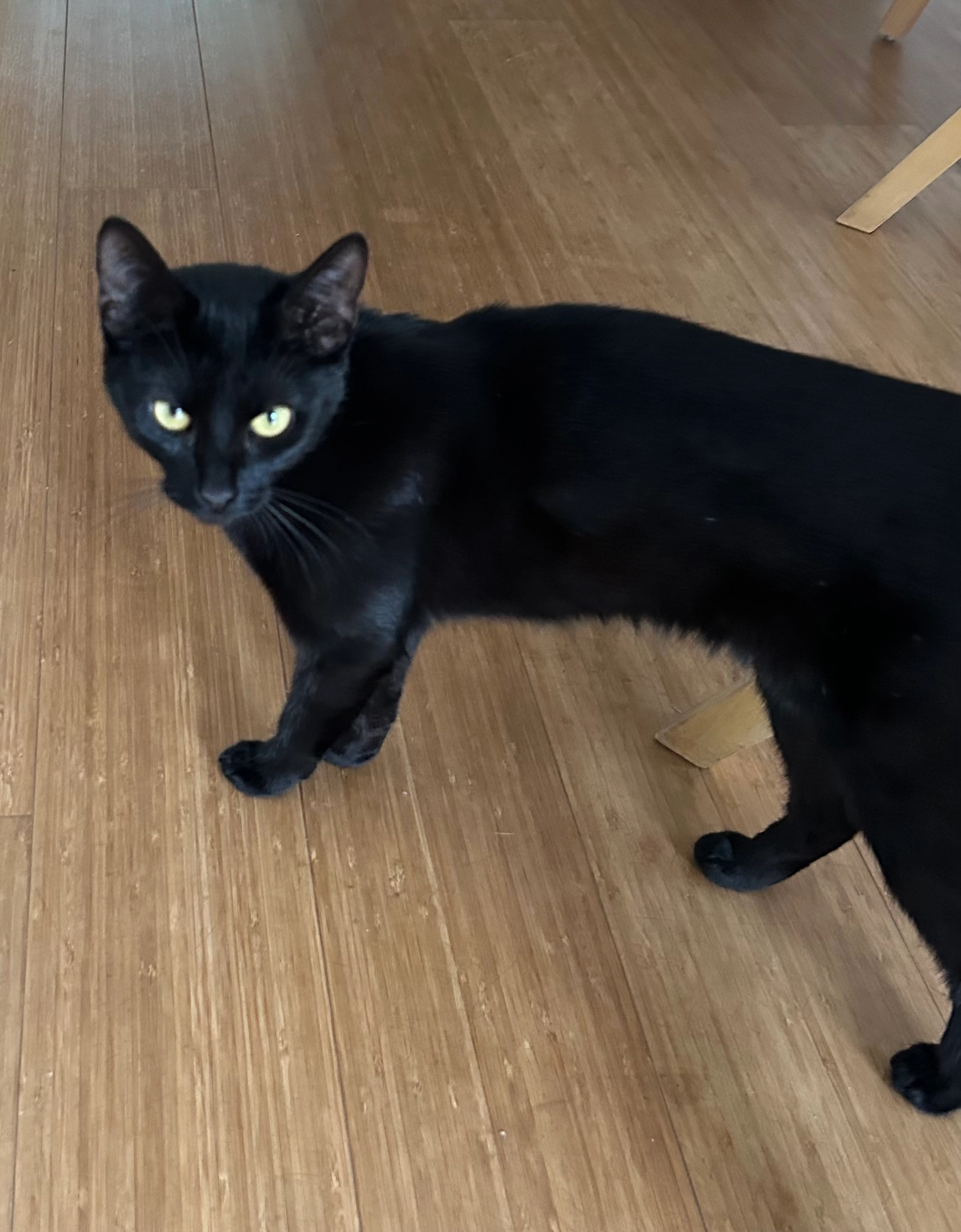 Cannelle - Rue de Gentissart, Villers-la-Ville