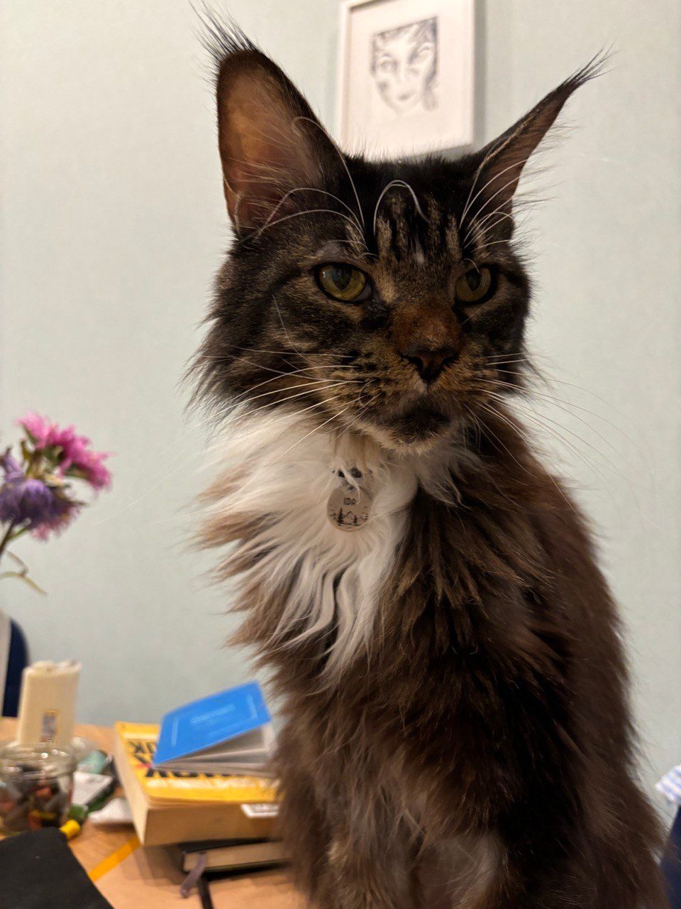 Ida - Rua da Costa do Castelo 45, Lisboa