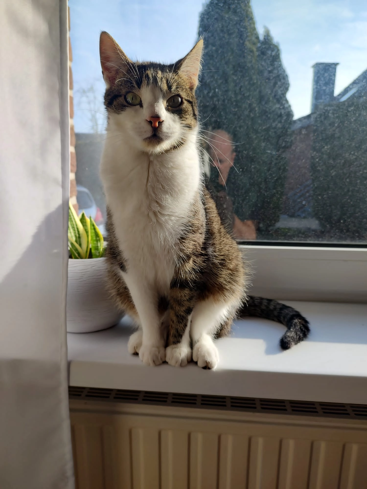 Psotek - Reeser Straße 467, Emmerich am Rhein